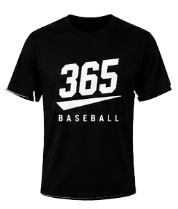 Black shirt (Dry fit )